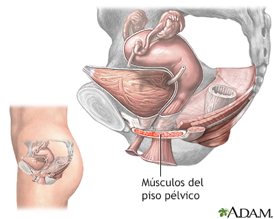 Procedimiento (segunda parte)