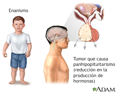 Resultados