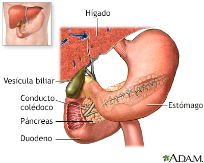 Colangiopancreatografía endoscópica retrógrada - serie