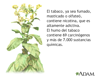 Tabaco y sustancias químicas