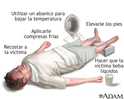 Emergencias por calor