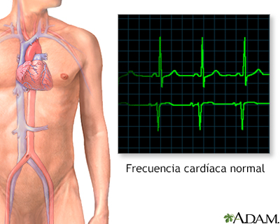 Ritmo cardíaco normal