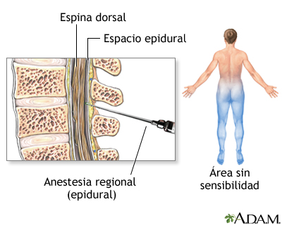 Procedimiento (primera parte)