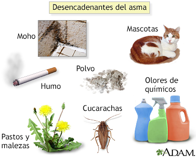 Desencadenantes del asma