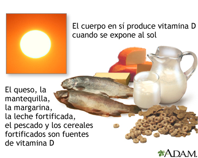 Fuentes de vitamina D