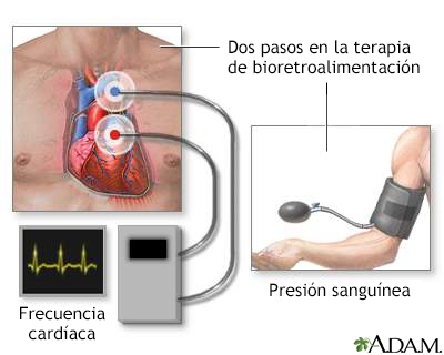 Retroalimentación