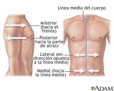 Orientación lateral