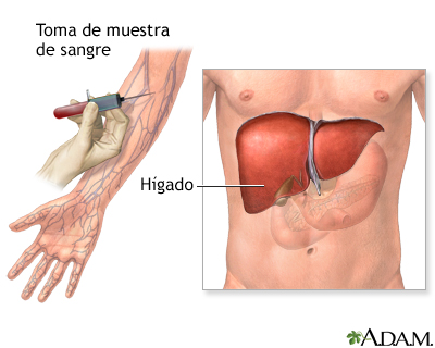 Pruebas de función hepática