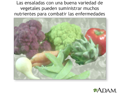 Nutrientes de la ensalada