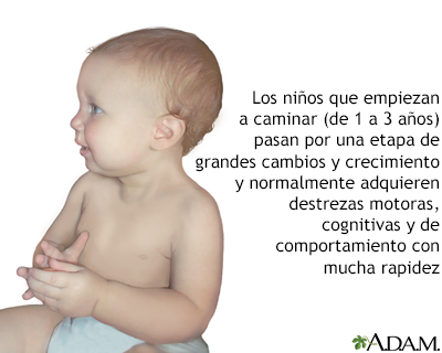 Evolución del niño que comienza a andar