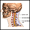 Cirugía de la columna cervical - Serie